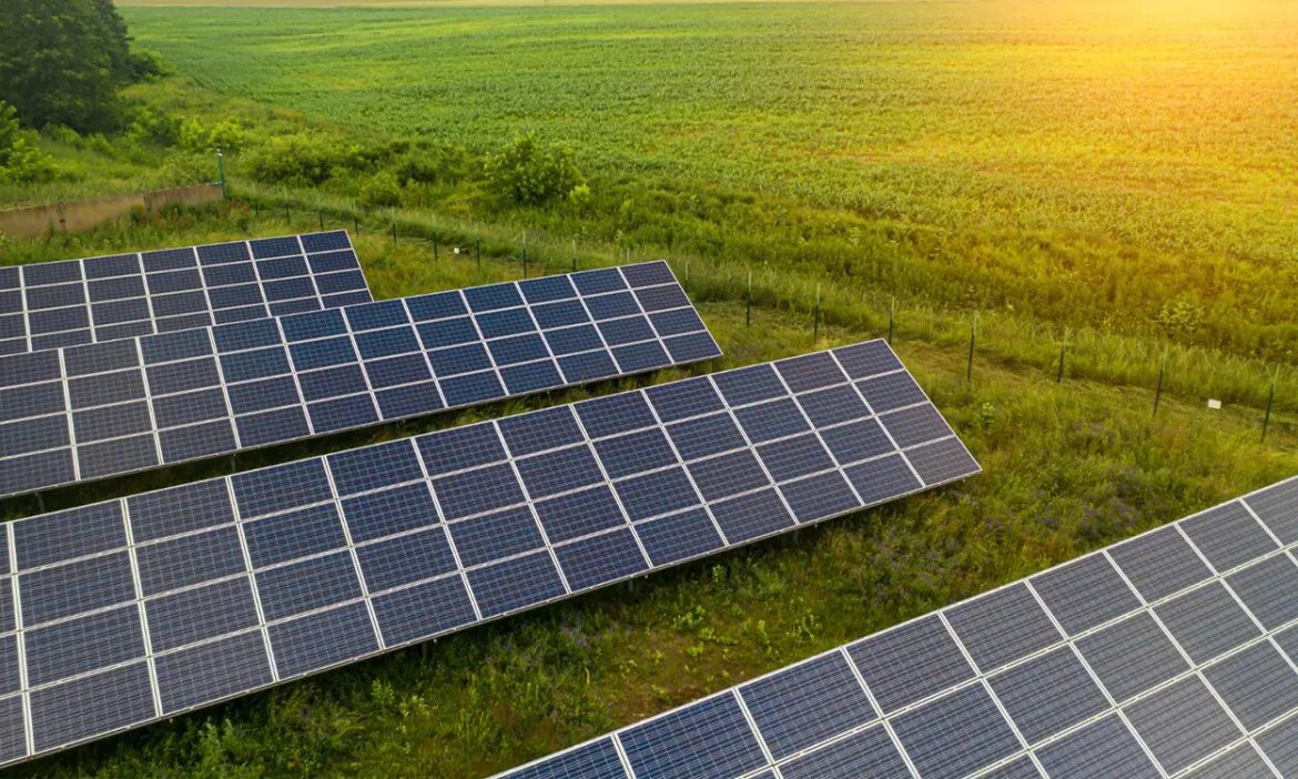 Location de terre agricole pour panneaux photovoltaïques : que des avantages !